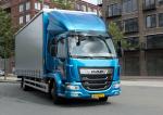 DAF LF 290 FA 4x2 Sleeper Cab 2017 года
